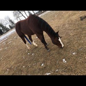 Meet your Posher, Kristin